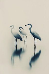 Birds In Lake