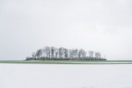 April grilling in Haspengouw by Stories by light