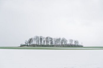 April-Grillen in Haspengouw