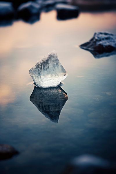 IJs in water van Treechild