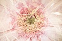 Artistic mix of plant and flower in retro shades
