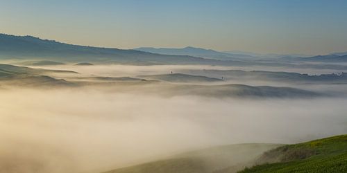 het glooiende heuvellandschap bij zonsopgang rond Volterra in Toscane