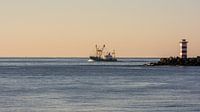 Fishing vessel between the piers on its way to IJmuiden. by scheepskijkerhavenfotografie thumbnail