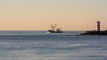 Fishing vessel between the piers on its way to IJmuiden. by scheepskijkerhavenfotografie