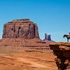 Cowboy im Monument Valley von Gerard Van Delft