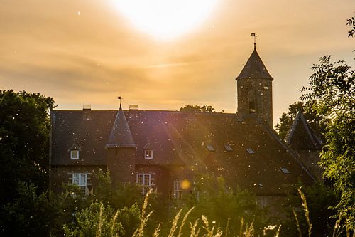 the castle of Waardenburg