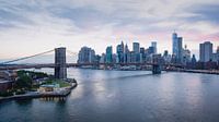 New York City Lights