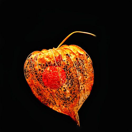 Une vue dorée de la lanterne