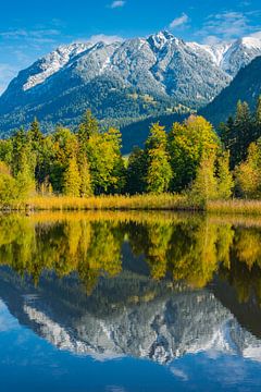 Moorweiher près d'Oberstdorf, Allgäu sur Walter G. Allgöwer