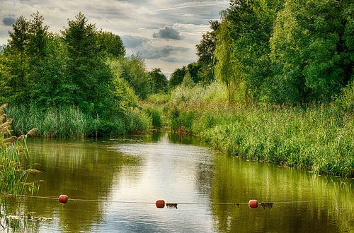 Stilleven van rivier en groen