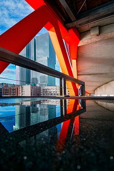 Weerspiegeling van De Rotterdam