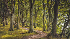 Nationalpark Mols Bjerge