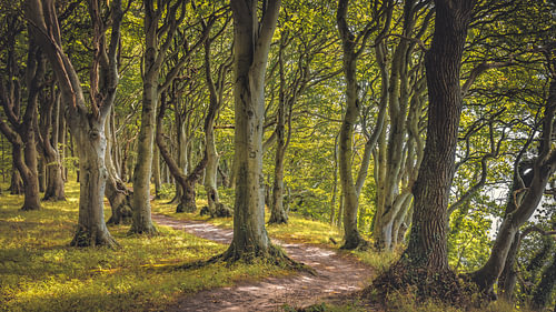 Nationalpark Mols Bjerge von rosstek ®