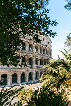 Colosseum Rome by Suzanne Spijkers