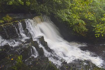 Waterfalls, Ireland by Lynn
