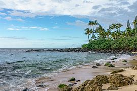 Laniakea Beach op Oahu.