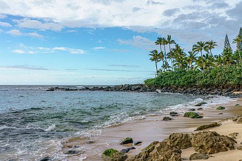 Laniakea Beach op Oahu.