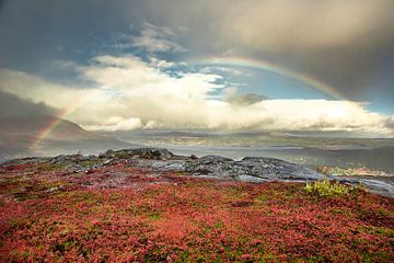Rainbow landscape van Marc Hollenberg