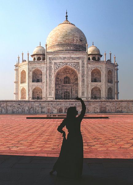 Taj Mahal by Hello Pompoyo