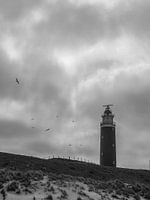 Guur Waddenweer Op Texel