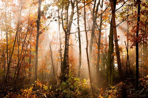 Herfst