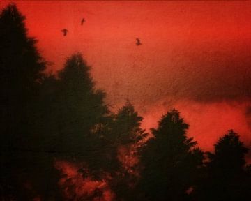 Paysage –  Oiseaux dans un ciel rouge