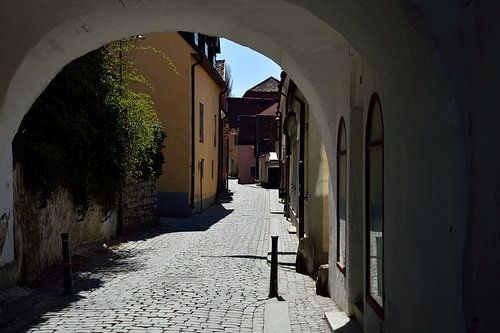 Door de poort gaan