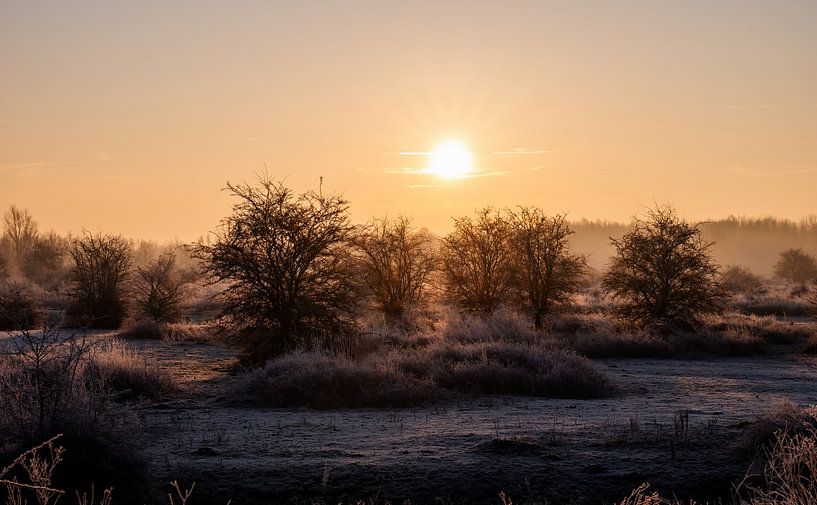 Meinerswijk part 85 by Tania Perneel