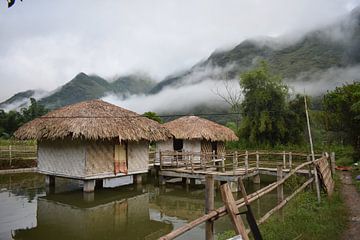 Platteland van Vietnam van Tim Reginald Velten