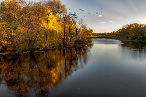 Spiegelende zuiverheid
