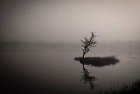 Eiland