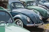 Rassemblement Barndoor 2023 28 Coccinelle Volkswagen