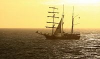Sailing ship in front of the Zeeland coast by MSP Canvas thumbnail