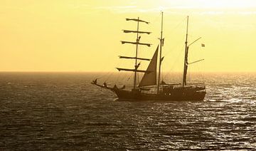 Sailing ship in front of the Zeeland coast by MSP Canvas