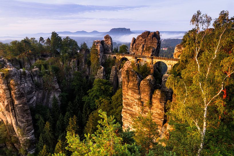 Sommermorgen an der Bastei von Daniela Beyer