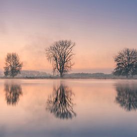 Magical morning by Diana Venis-Kerkhoven