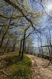 Cycling and walking path along the natural beach in the Goor