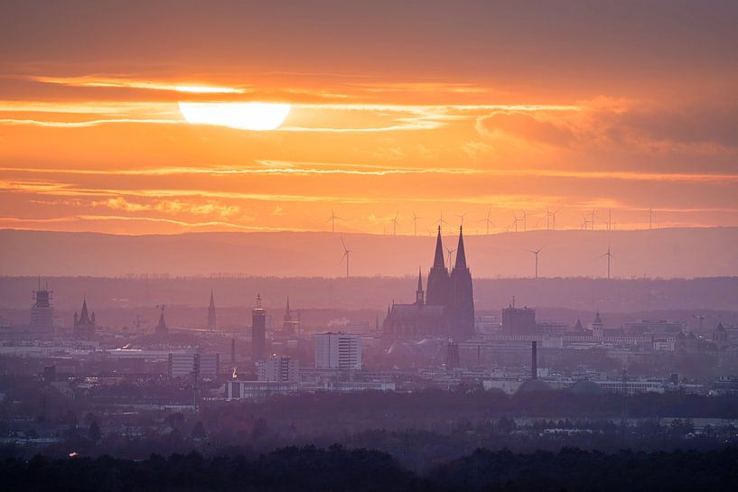 Cologne, Rhineland, North Rhine-Westphalia, Germany by Alexander Ludwig