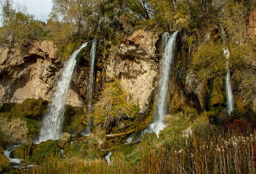 Rifle Falls in Rifle Falls State Park van Eva Rusman