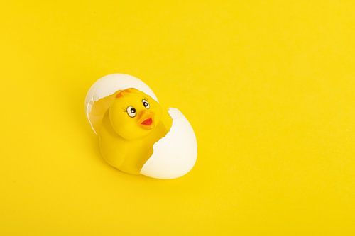 Canard en caoutchouc