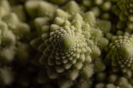 Ein Stück Romanesco von Marjolijn van den Berg