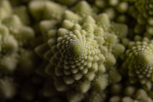 Een stukje Romanesco