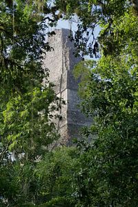 Tempel in de jungle van Manon Leisink