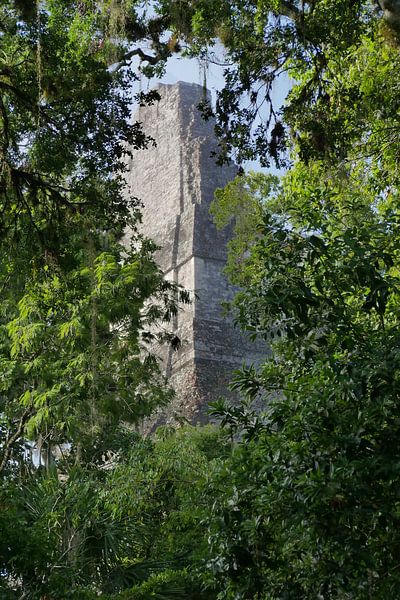 Temple in the jungle. by Manon Leisink