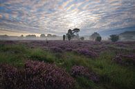 Serene morning by Ronald Kamphuis thumbnail