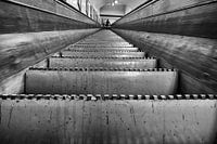 descent