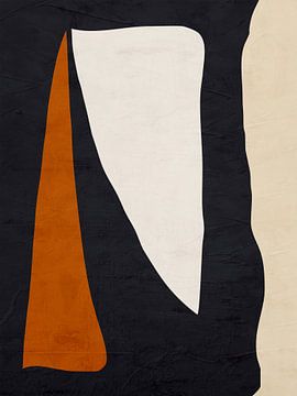 Organische abstracte kunst - zwart-witte tinten