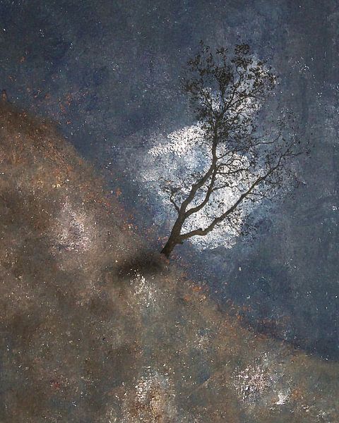 tree in valley by Esther Wijntje