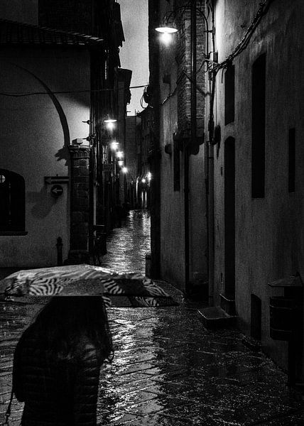 Regen in Lucca Toscane van Frank Andree