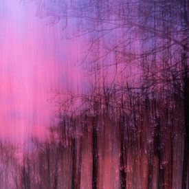 The silent witnesses of light (10 of 10) by Linda Hutten